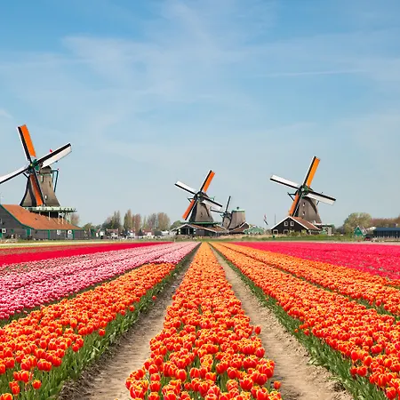 Hotel The Hague - By Ihg