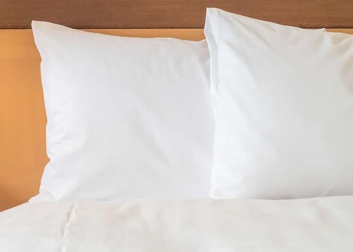 The Hague - By Ihg 4*